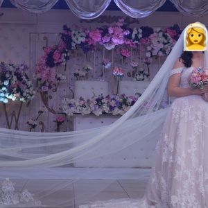 Outstanding wedding dress (hairpiece and veil are complementary)